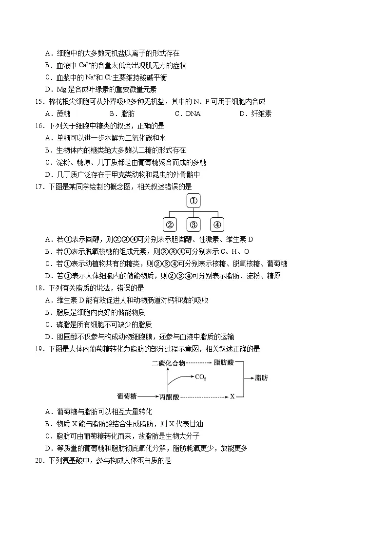江苏省七所名校2025-2026学年高一上学期11月期中调研生物考试 (含答案)第3页