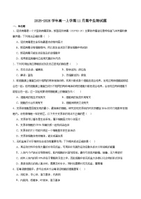 河北省沧州市重点高中2025-2026学年高一上学期11月期中生物考试 （含答案）