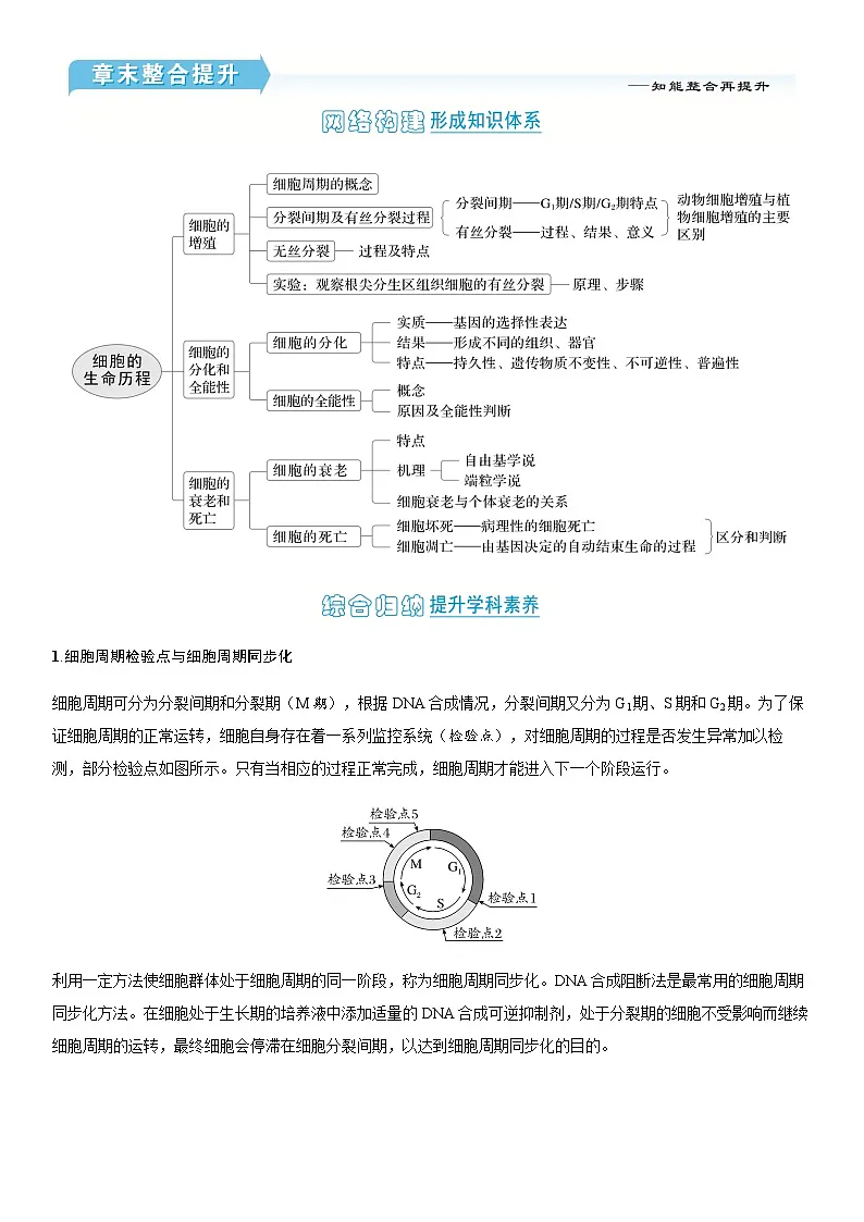 第6章 章末整合提升学案高中生物学人教版(2019)必修1 分子与细胞第1页