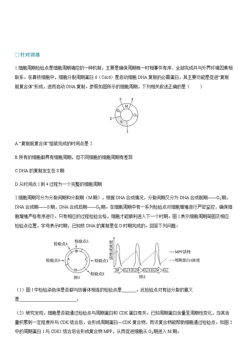 第6章 章末整合提升学案高中生物学人教版(2019)必修1 分子与细胞第2页