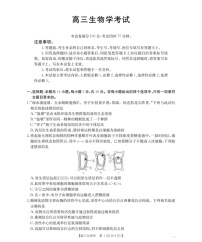 陕西省联考2025-2026学年高三上学期11月考试生物试卷