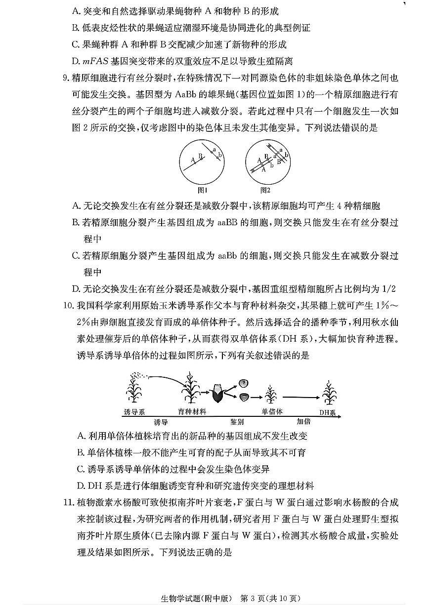 生物-湖南师大附中2026届高三上学期月考(四)试题及答案第3页
