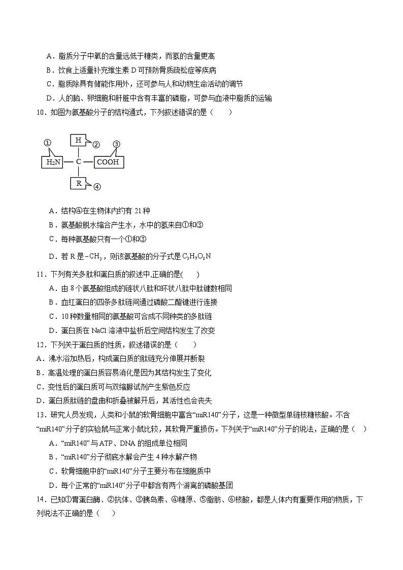 贵州省遵义市第四中学2025-2026学年高一上学期10月月考生物试卷(Word版附答案)第3页