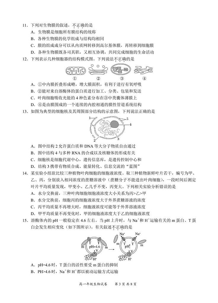 四川省宜宾市普通高中2023-2024学年高一下学期期末检测生物试题第3页