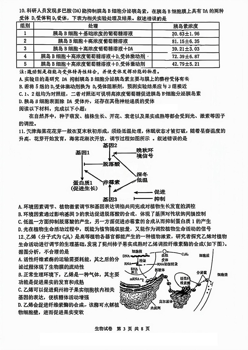 天津市八校联考2024-2025学年高三上学期1月期末生物试题第3页