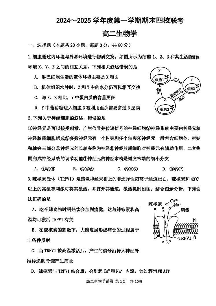 天津市四校联考(咸水沽一中、杨柳青一中、第一百中学、四十七中学)2024-2025学年高二上学期期末生物试卷第1页