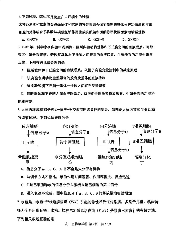天津市四校联考(咸水沽一中、杨柳青一中、第一百中学、四十七中学)2024-2025学年高二上学期期末生物试卷第2页