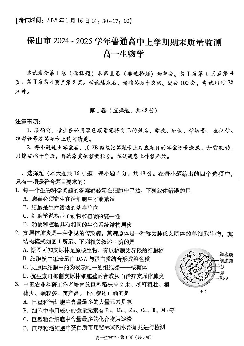 云南省保山市2024~2025学年高一上学期期末质量监测生物试卷第1页