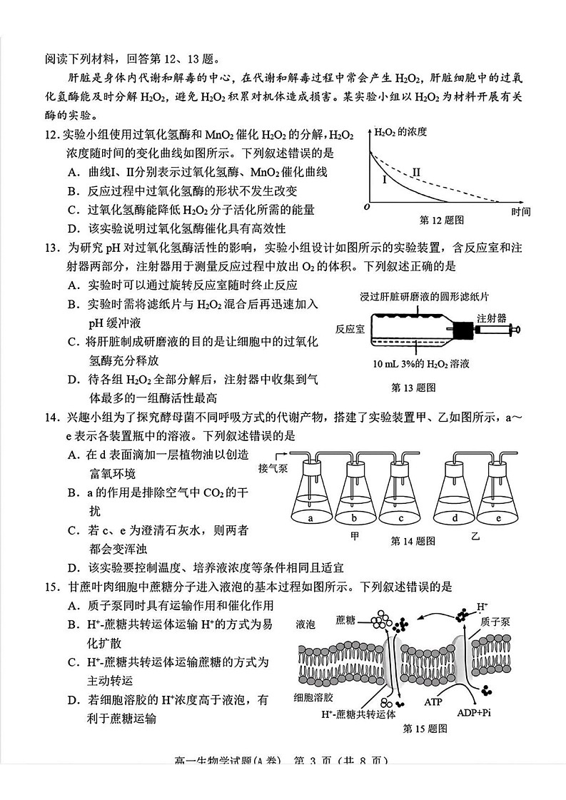 浙江省温州市2024-2025学年高一上学期期末教学质量统一检测生物试卷(A卷)第3页