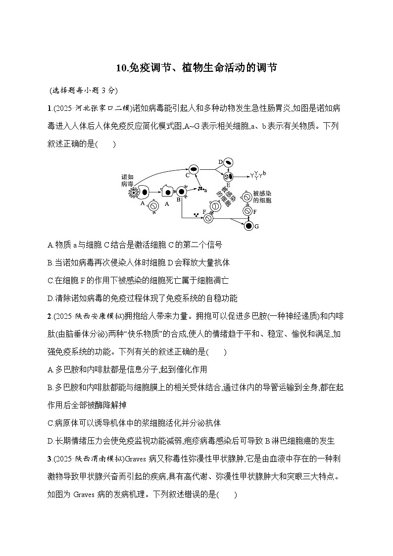 2026届高三生物二轮复习试题知识对点小题练10.免疫调节、植物生命活动的调节(Word版附解析)第1页