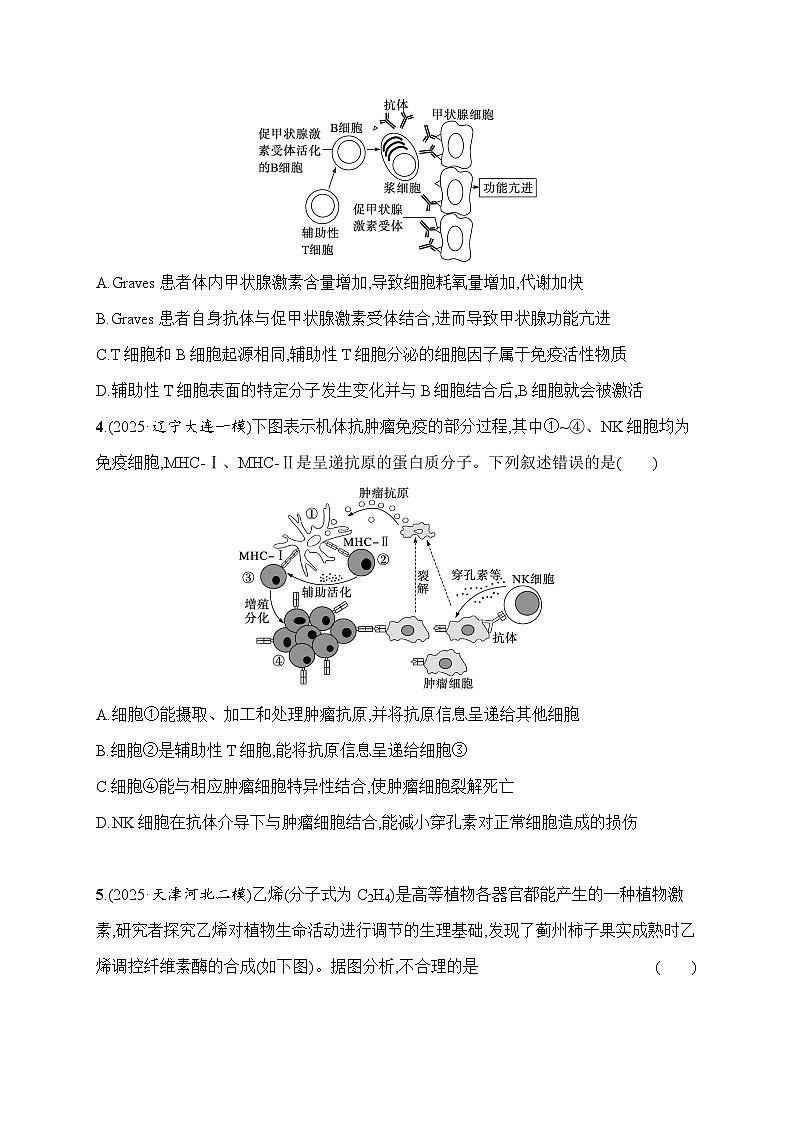 2026届高三生物二轮复习试题知识对点小题练10.免疫调节、植物生命活动的调节(Word版附解析)第2页