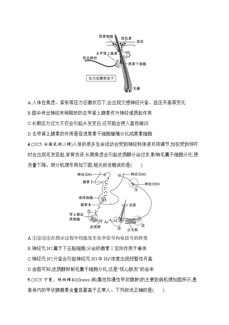 2026届高三生物二轮复习试题知识对点小题练9.内环境与稳态及神经调节、体液调节(Word版附解析)第2页