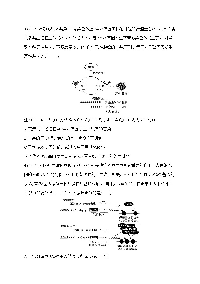 2026届高三生物二轮复习试题知识对点小题练8.生物的变异、育种与进化(Word版附解析)第2页