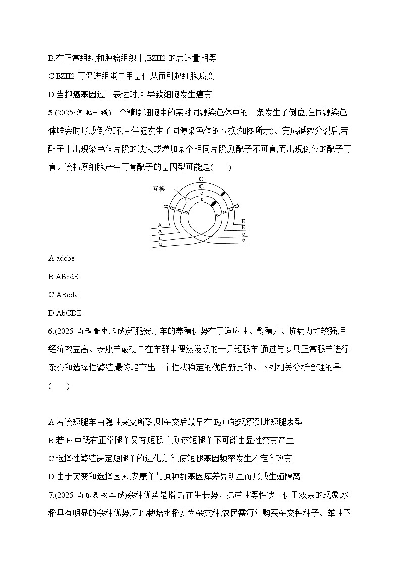2026届高三生物二轮复习试题知识对点小题练8.生物的变异、育种与进化(Word版附解析)第3页