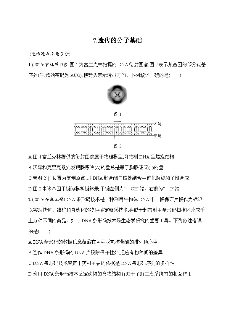 2026届高三生物二轮复习试题知识对点小题练7.遗传的分子基础(Word版附解析)第1页