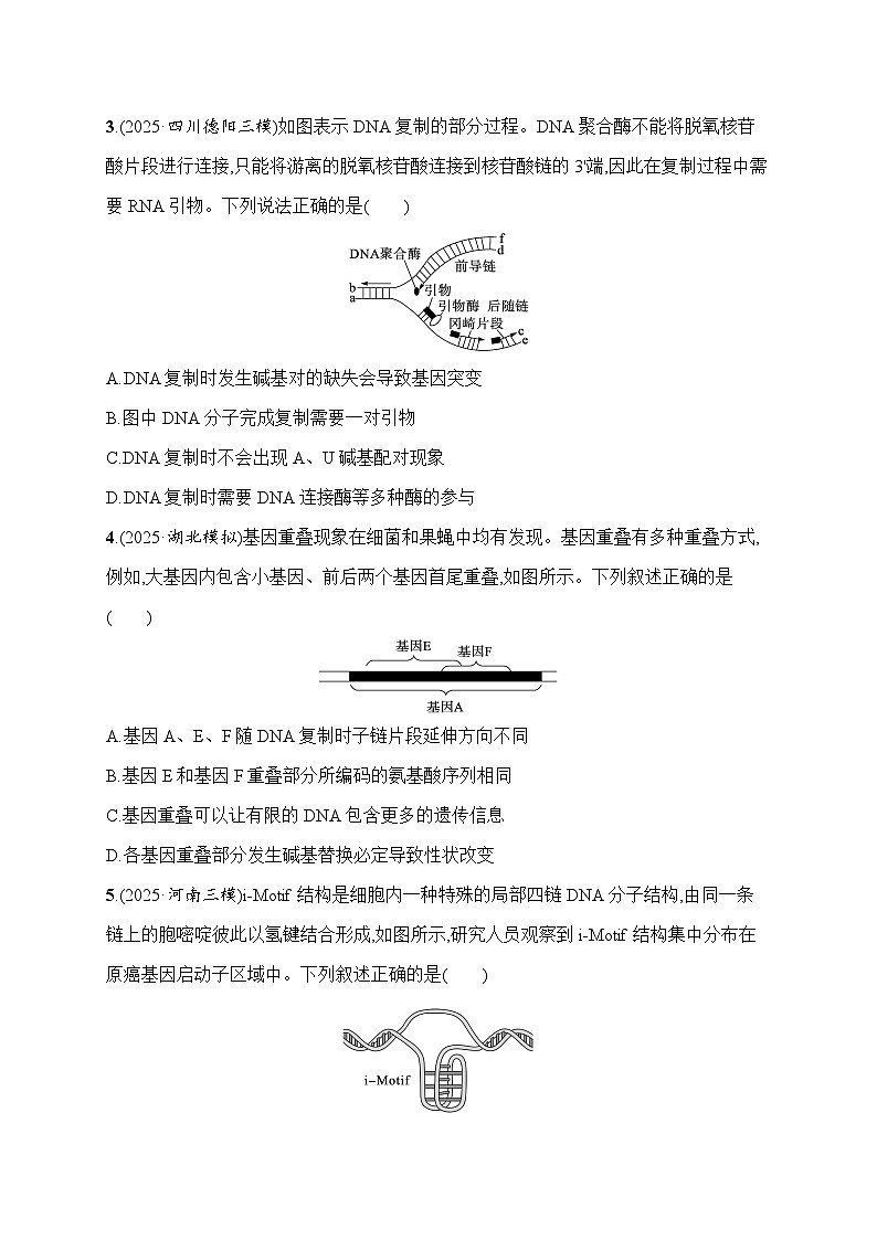 2026届高三生物二轮复习试题知识对点小题练7.遗传的分子基础(Word版附解析)第2页