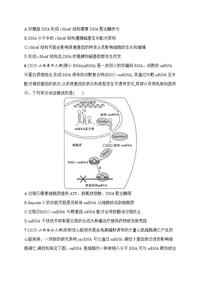 2026届高三生物二轮复习试题知识对点小题练7.遗传的分子基础(Word版附解析)第3页