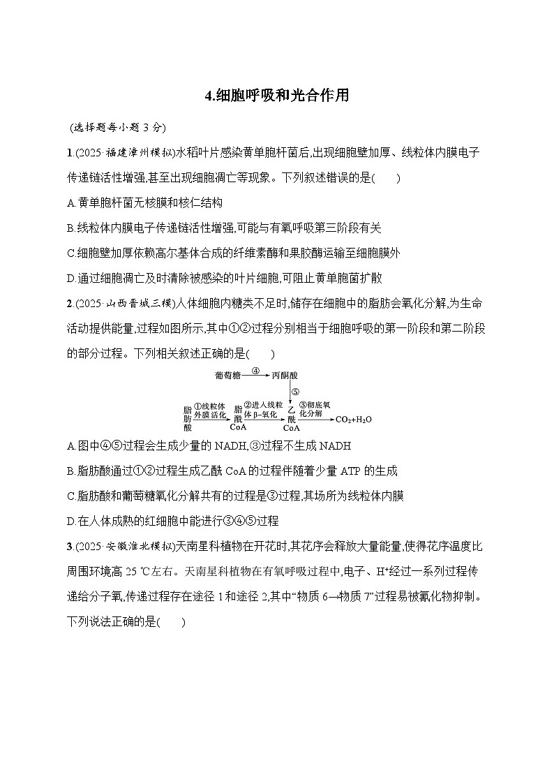 2026届高三生物二轮复习试题知识对点小题练4.细胞呼吸和光合作用(Word版附解析)第1页