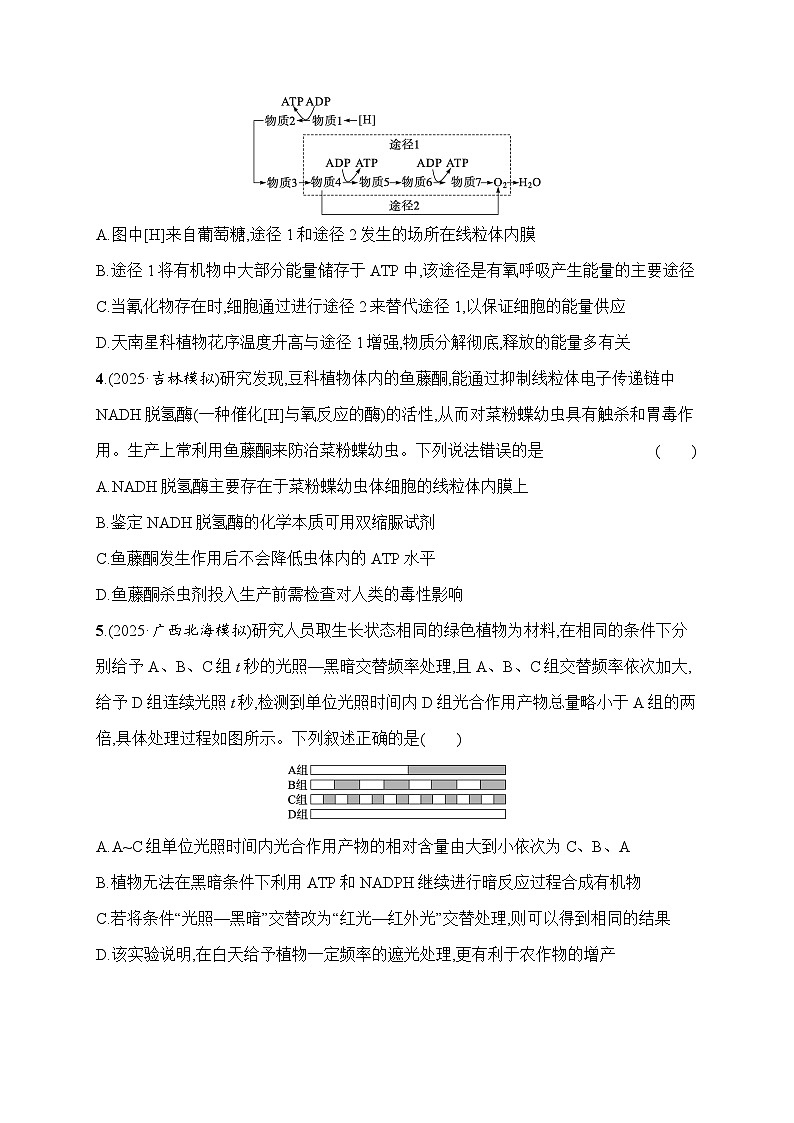 2026届高三生物二轮复习试题知识对点小题练4.细胞呼吸和光合作用(Word版附解析)第2页