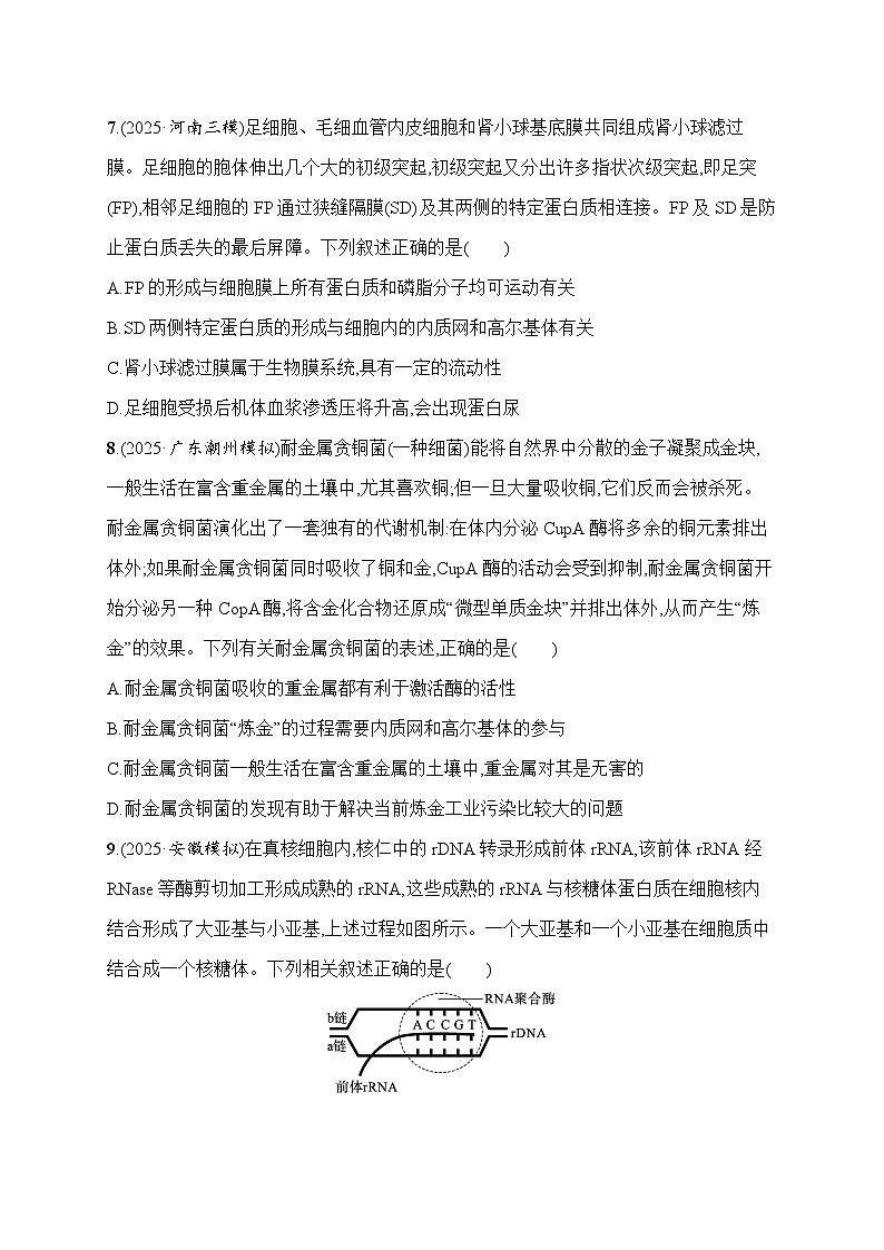 2026届高三生物二轮复习试题知识对点小题练1.细胞的分子组成与结构(Word版附解析)第3页