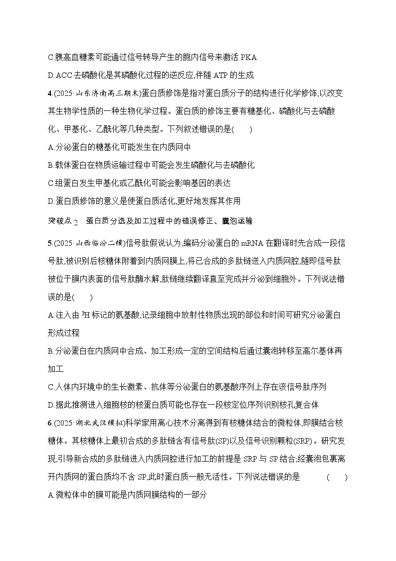 2026届高三生物二轮复习试题限时练2蛋白质的磷酸化及其结构与功能的关系及蛋白质的加工、分选与囊泡运输(Word版附解析)第2页