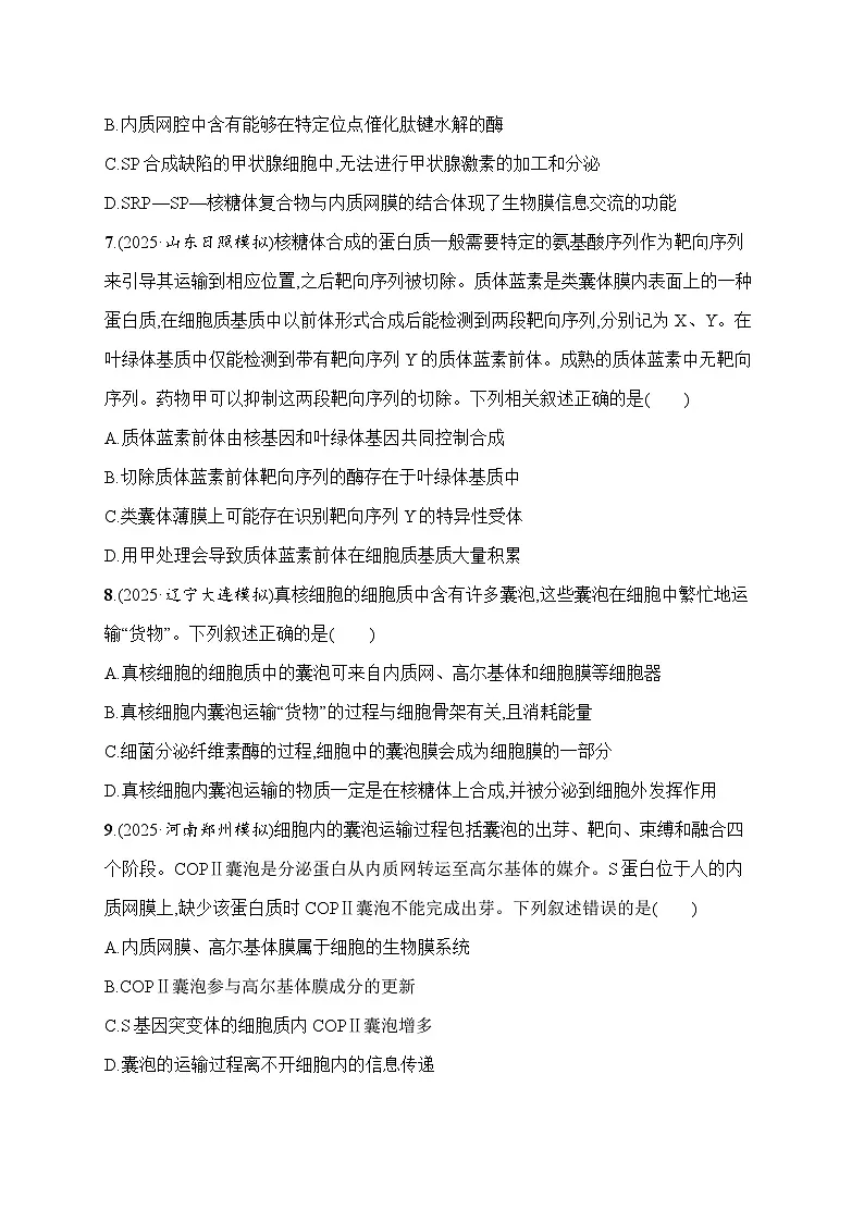 2026届高三生物二轮复习试题限时练2蛋白质的磷酸化及其结构与功能的关系及蛋白质的加工、分选与囊泡运输(Word版附解析)第3页