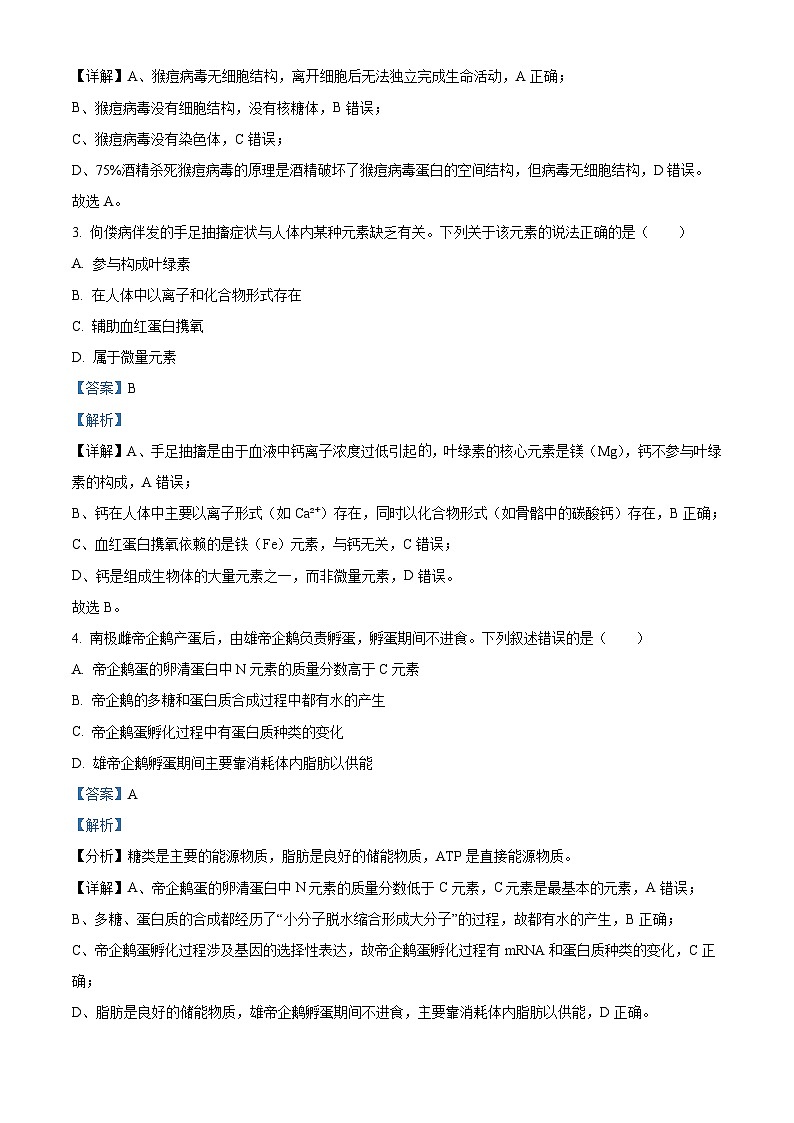 湖北省荆州市重点高中2025-2026学年高一上学期10月月考 生物(含答案)第2页