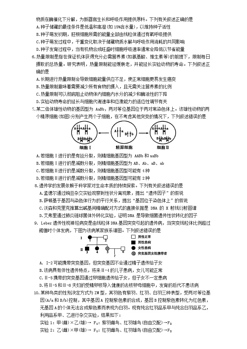 安徽省鼎尖名校2025-2026学年高三上学期11月第六届逐梦星辰联考试题 生物 Word版含解析第2页