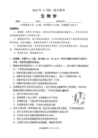 湖南省联考2025-2026学年高一上学期11月期中考试生物试卷