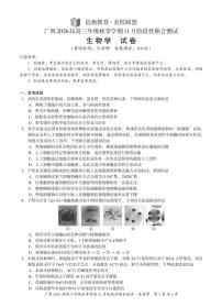 广西邕衡教育名校联盟广西2026届高三年级上学期11月份阶段性联合测试生物试卷