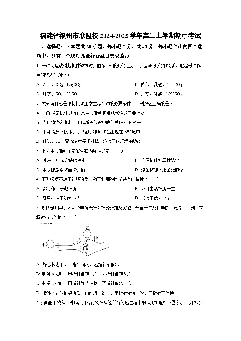 福建省福州市联盟校2024-2025学年高二上学期期中考试生物试卷(学生版)第1页