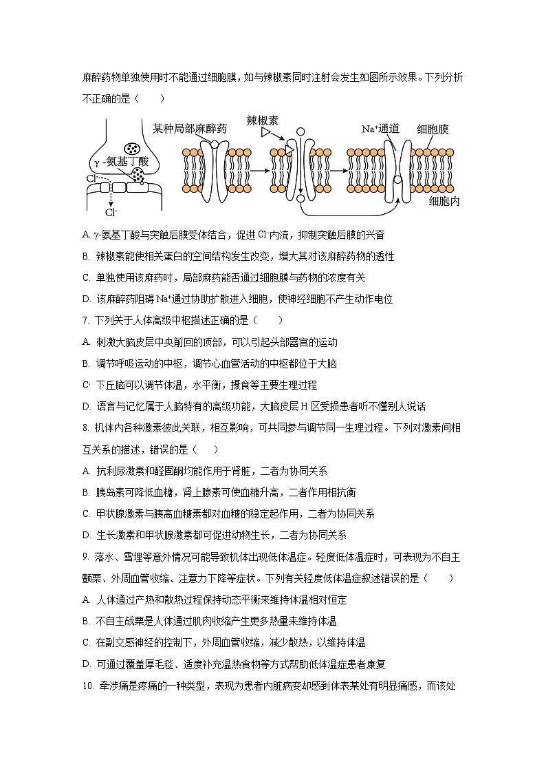 福建省福州市联盟校2024-2025学年高二上学期期中考试生物试卷(学生版)第2页