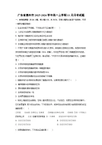 广东省惠州市2025-2026学年高一上学期11月月考生物试卷（学生版）