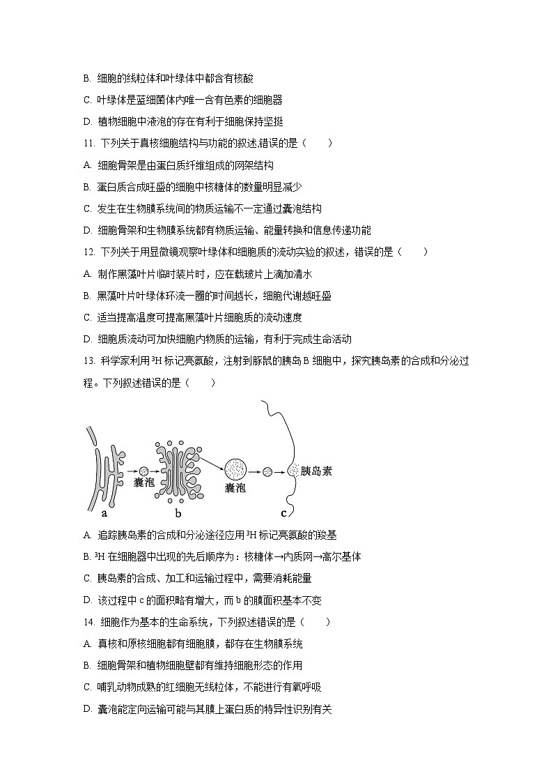 黑龙江省龙东十校联盟2025-2026学年高一上学期期中考试生物试卷(学生版)第3页