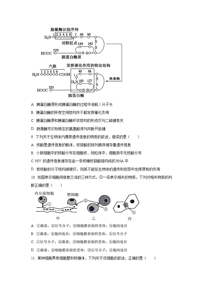 河北省保定市部分校2025-2026学年高一上学期11月考试生物试卷(学生版)第3页