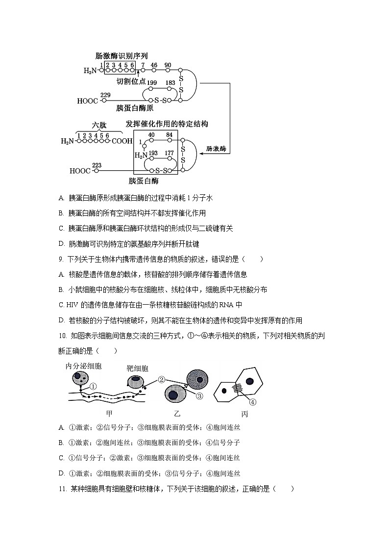 河北省保定市部分校2025-2026学年高一上学期11月考试生物试卷(学生版)第3页