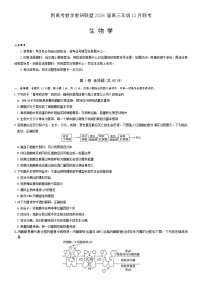 湖南省新高考教学教研联盟2026届高三上学期12月联考（长郡二十校联盟）生物试题（含答案）