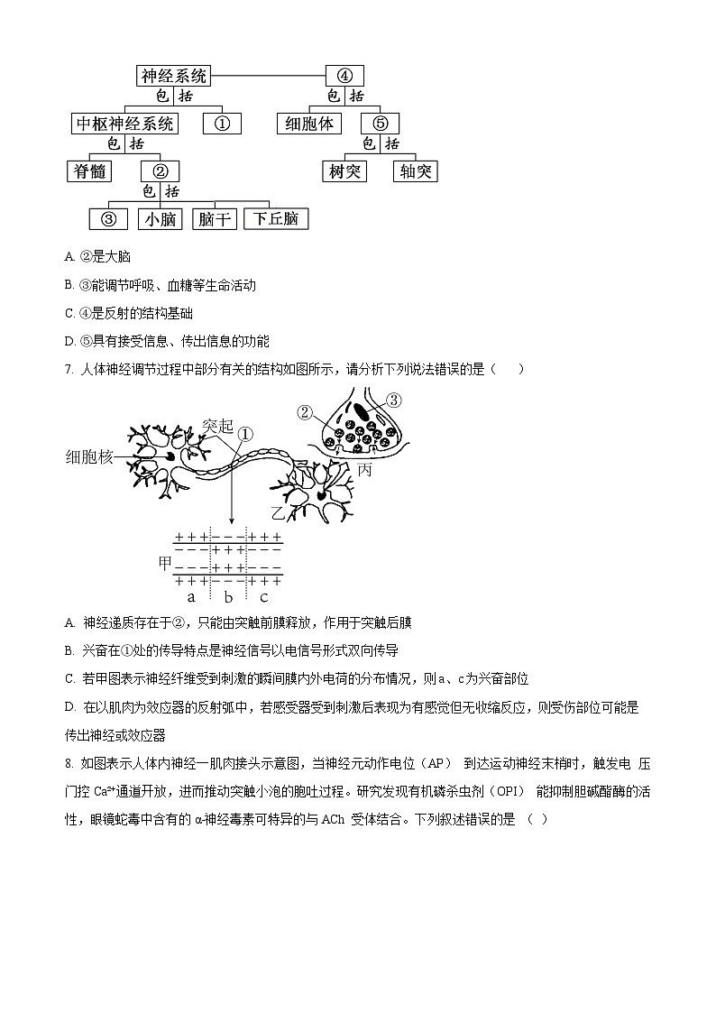 天津市第一百中学、咸水沽第一中学2023-2024学年高二上学期期中联考生物试题 (含答案)第3页