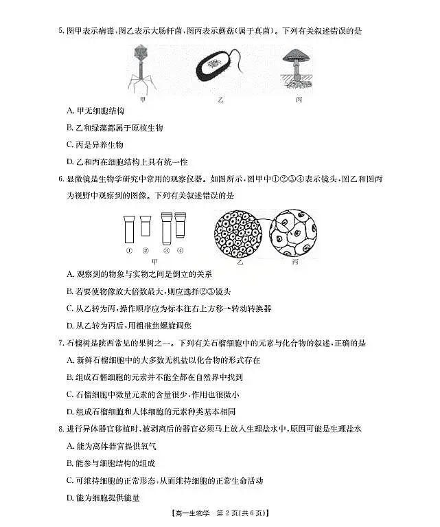 金太阳陕西省2028届高一上学期10月月考(26-55A)生物试卷(含答案)第2页