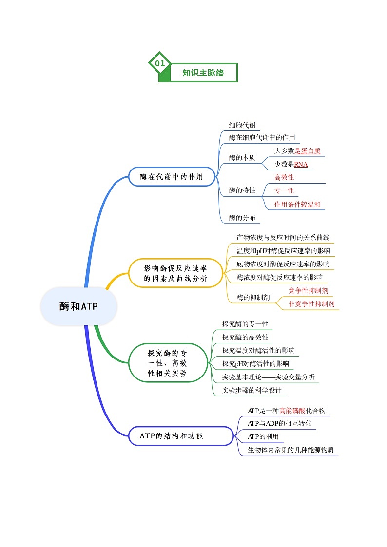 高考生物一轮复习-酶和ATP(知识清单)(全国通用)(原卷版)第3页