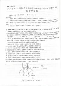 广东省领航联盟2026届高三上学期11月模拟考生物试题+答案