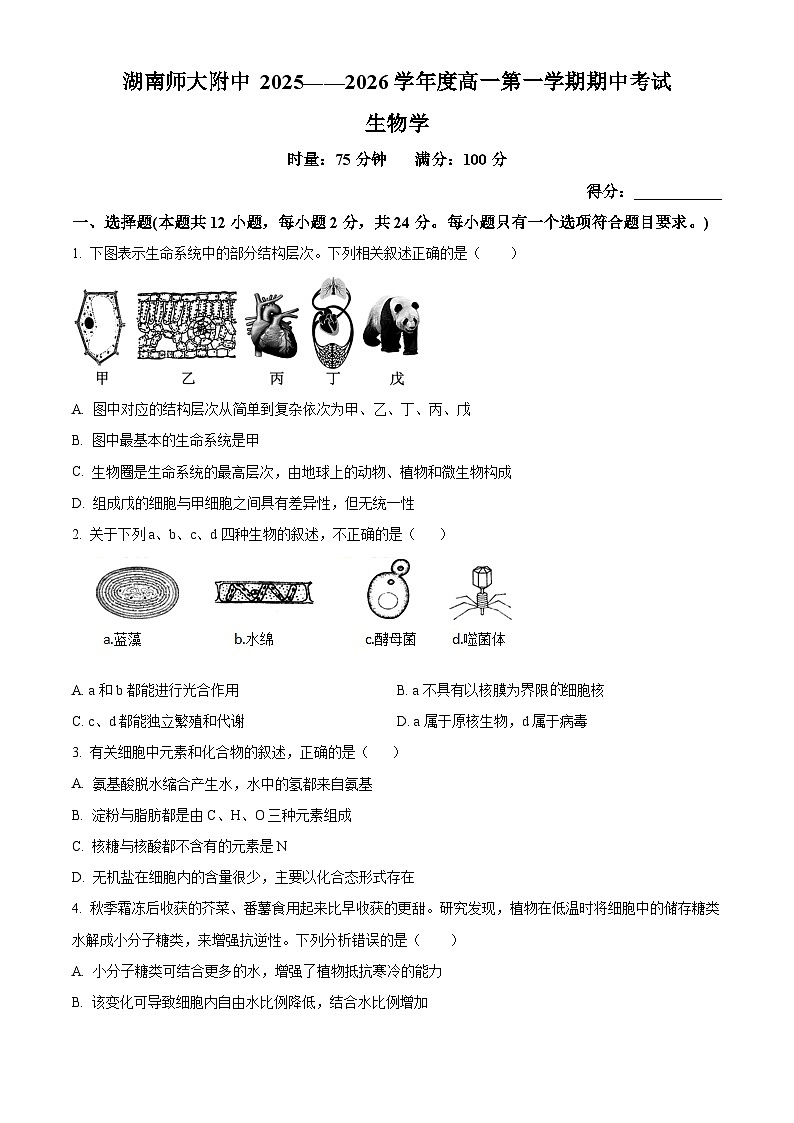 湖南省长沙市师大附中2025-2026学年高一上学期11月期中生物试题(原卷版)第1页
