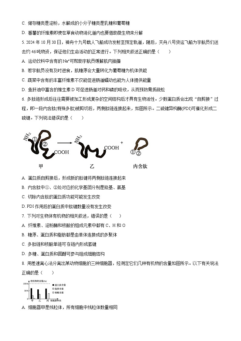 湖南省长沙市师大附中2025-2026学年高一上学期11月期中生物试题(原卷版)第2页