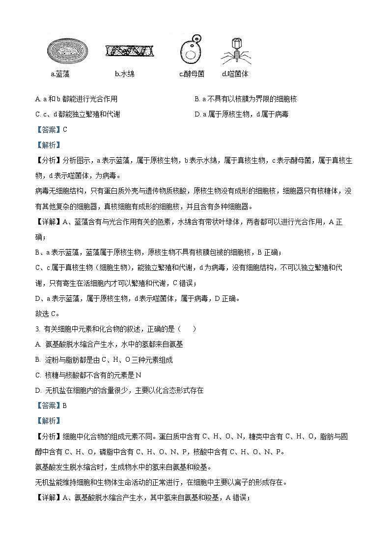 湖南省长沙市师大附中2025-2026学年高一上学期11月期中生物试题 Word版含解析第2页
