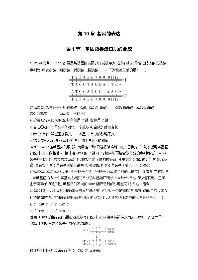 广东高考生物真题2_真题分类 第10章 基因的表达高考二轮专题第1页