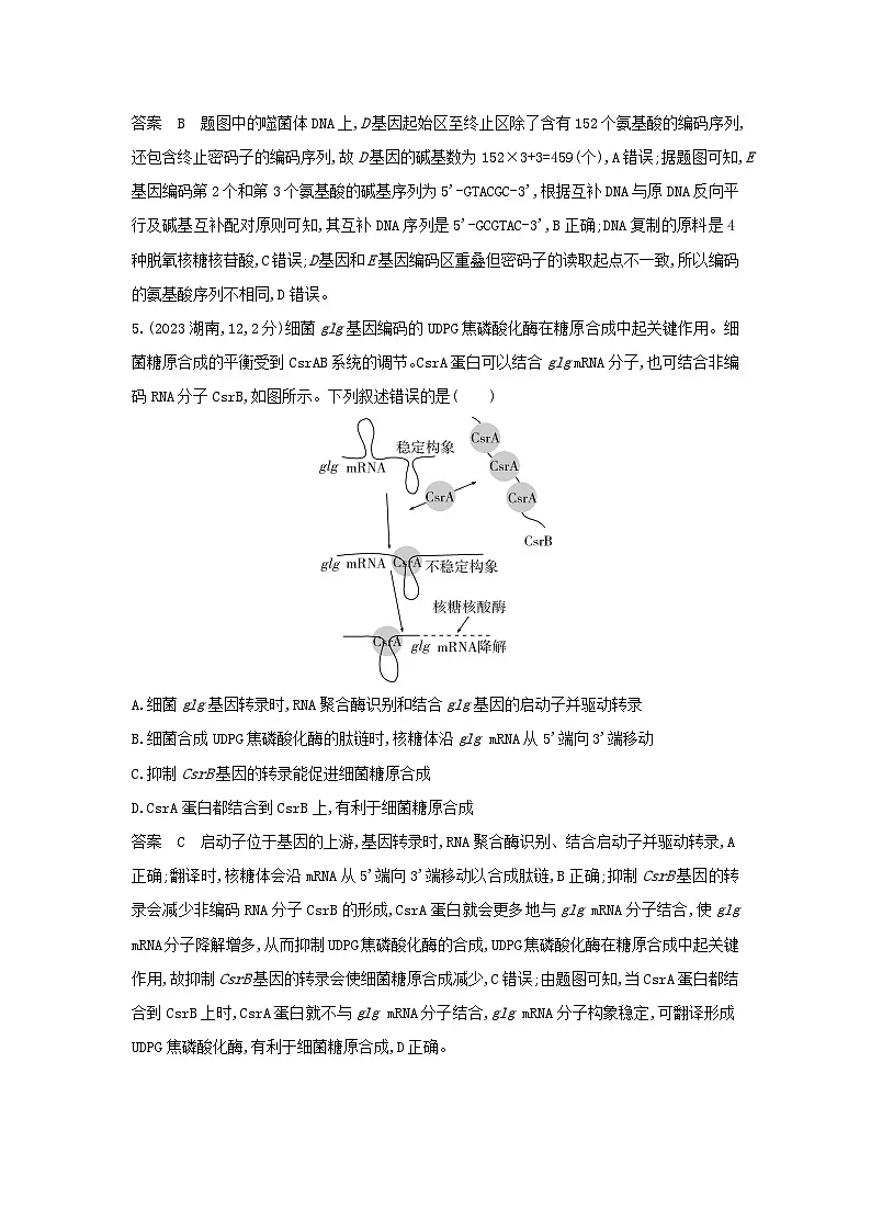 广东高考生物真题2_真题分类 第10章 基因的表达高考二轮专题第3页