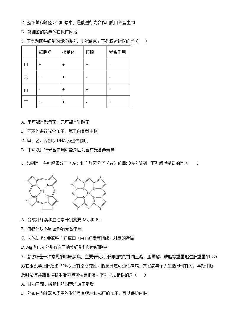 精品解析:四川省内江市第一中学2025-2026学年高一上学期期中考试生物试题(原卷版)第2页