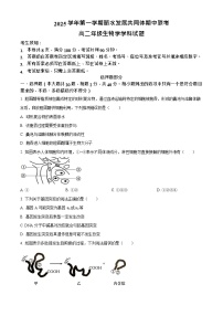 浙江省丽水发展共同体2025-2026学年高二上学期11月期中考试生物试卷