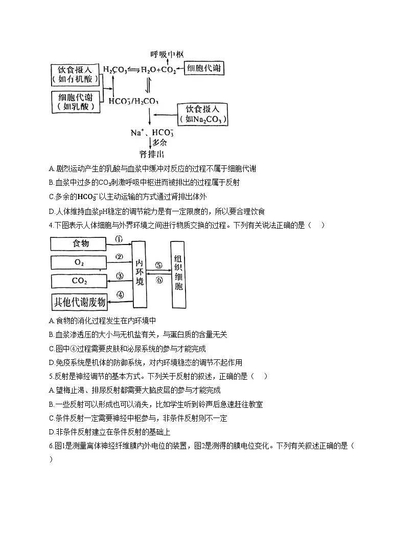 天津市北辰区九十六中学2025—2026学年高二上学期第一次月考生物试题(文字版,含答案)第2页