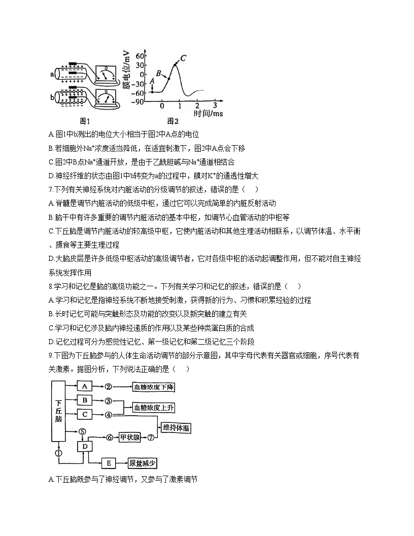 天津市北辰区九十六中学2025—2026学年高二上学期第一次月考生物试题(文字版,含答案)第3页